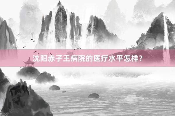 沈阳赤子王病院的医疗水平怎样？